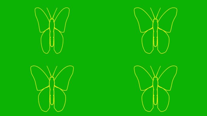 活泼的黄色蝴蝶扇动翅膀。线性符号。毛圈的视频。矢量插图隔离在绿色背景上。