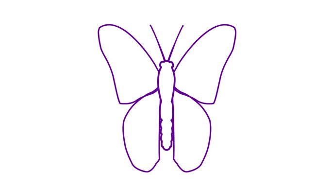 动画紫色线蝴蝶扇动翅膀。线性符号。毛圈的视频。矢量插图隔离在白色背景上。