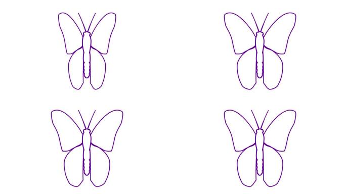动画紫色线蝴蝶扇动翅膀。线性符号。毛圈的视频。矢量插图隔离在白色背景上。