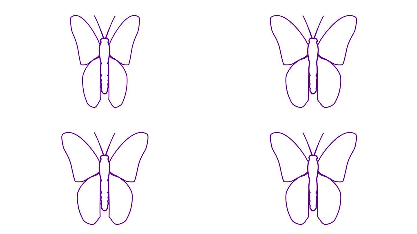动画紫色线蝴蝶扇动翅膀。线性符号。毛圈的视频。矢量插图隔离在白色背景上。