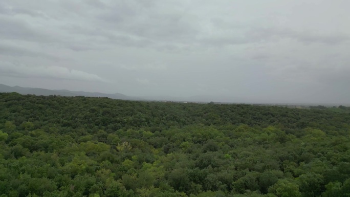 意大利托斯卡纳，橄榄林上空多云的天空。华丽的空中俯视图飞行吊杆滑动到左侧无人机

4 k的片段