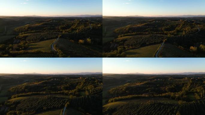 橄榄园横跨托斯卡纳倾斜的山丘，意大利在黄金时间，空中摄影车