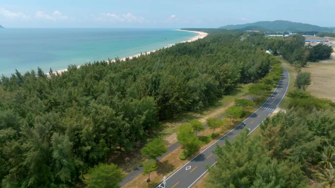 车辆顺沿海公路行驶航拍