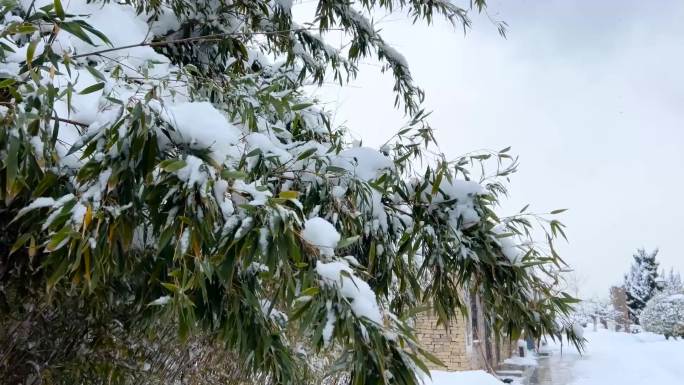 浪漫的雪景 唯美的雪花 雪花飞舞  03