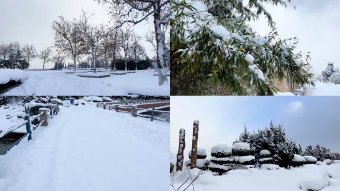 浪漫的雪景 唯美的雪花 雪花飞舞  03