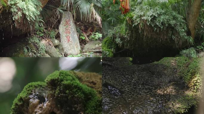 鹿门山灵溢泉