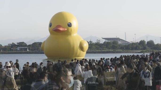 3K深圳湾大黄鸭RubberDuck人群