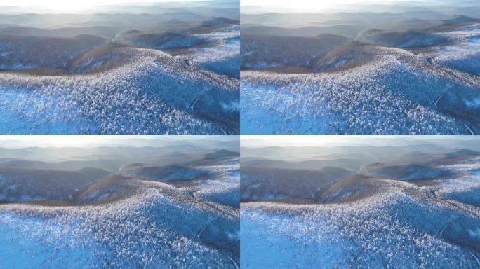 航拍黎明时的大兴安岭林海雪原