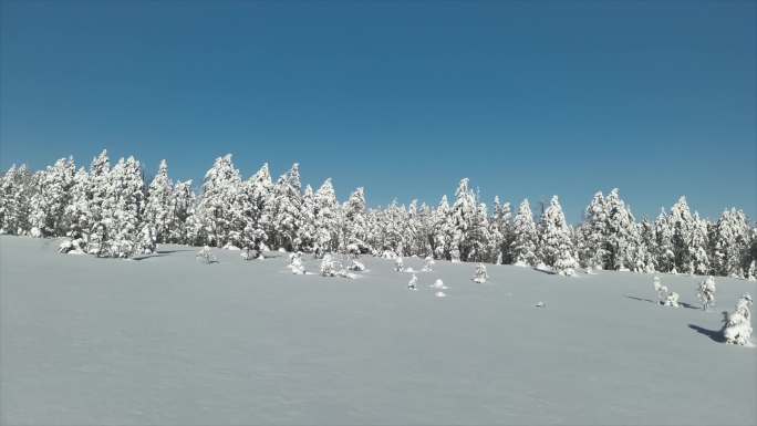 雪景