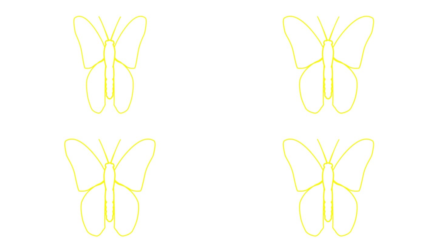 动画黄线蝴蝶扇动翅膀。线性符号。毛圈的视频。矢量插图隔离在白色背景上。
