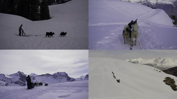 狗拉雪橇北欧冬季交通方式
