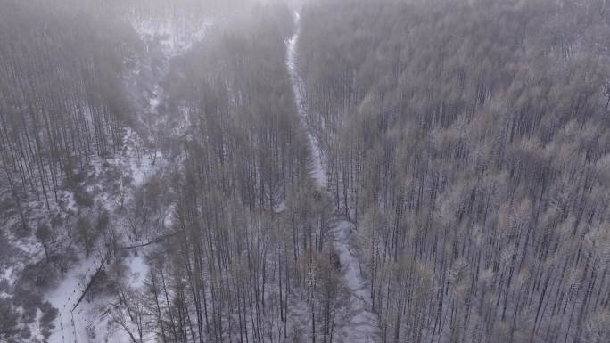 山间雪路爬坡原始森林四驱激情驾驶航拍
