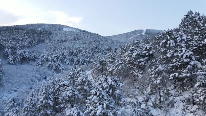 航拍雪山风景