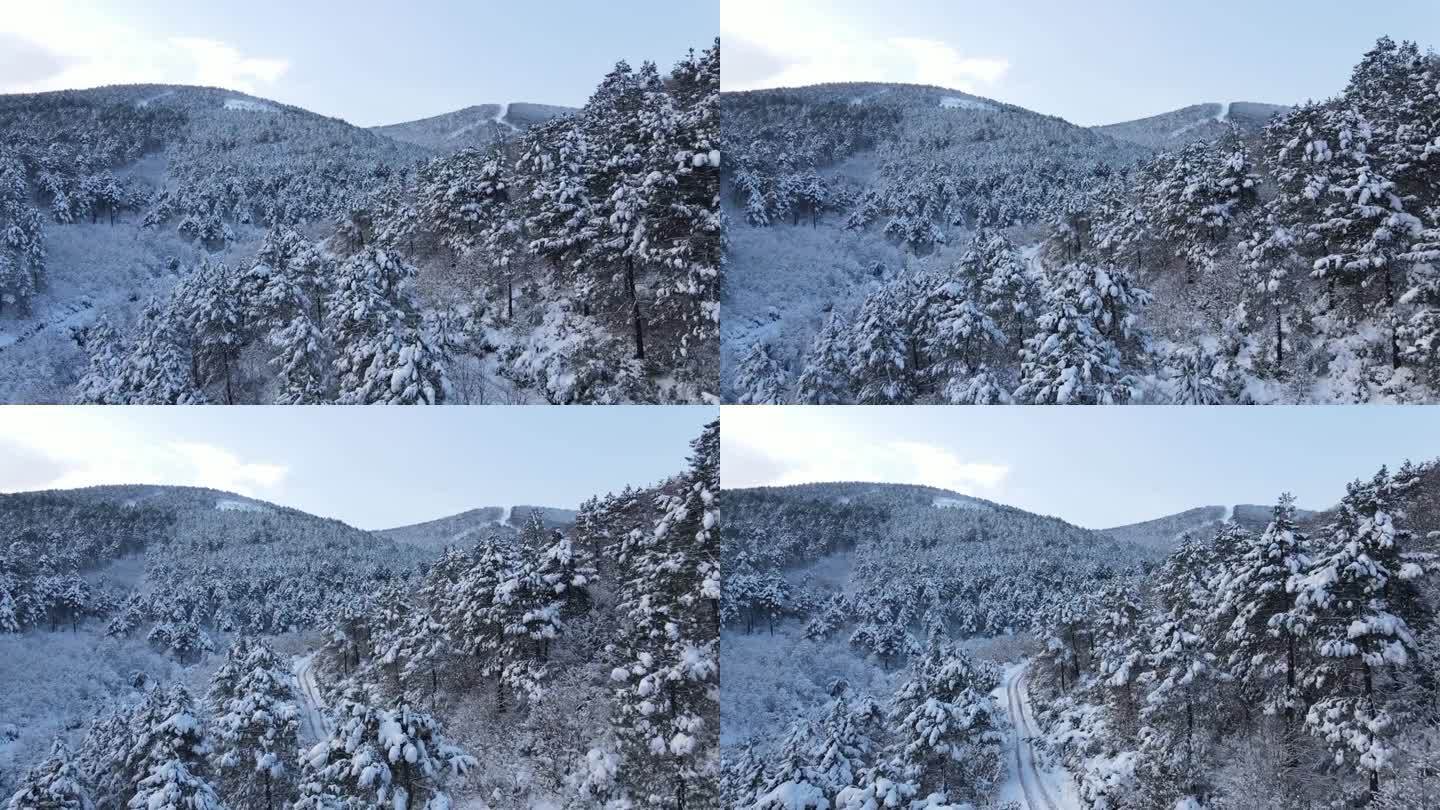 航拍雪山风景