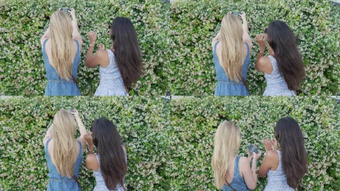 好朋友们在假期用智能手机拍满墙的花。女孩们用手机分享生活方式的照片，发短信享受暑假旅行的冒险