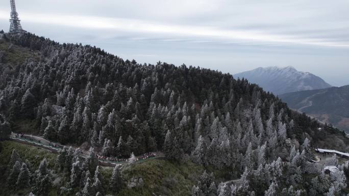 湖南南岳衡山松树凇雪景航拍