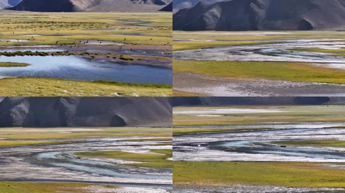 4K航拍西藏阿里班公湖绿草如茵