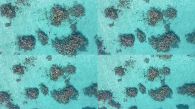 水肺潜水员在清澈的蓝色海水中探索大堡礁的珊瑚礁生态系统。高空无人机视野