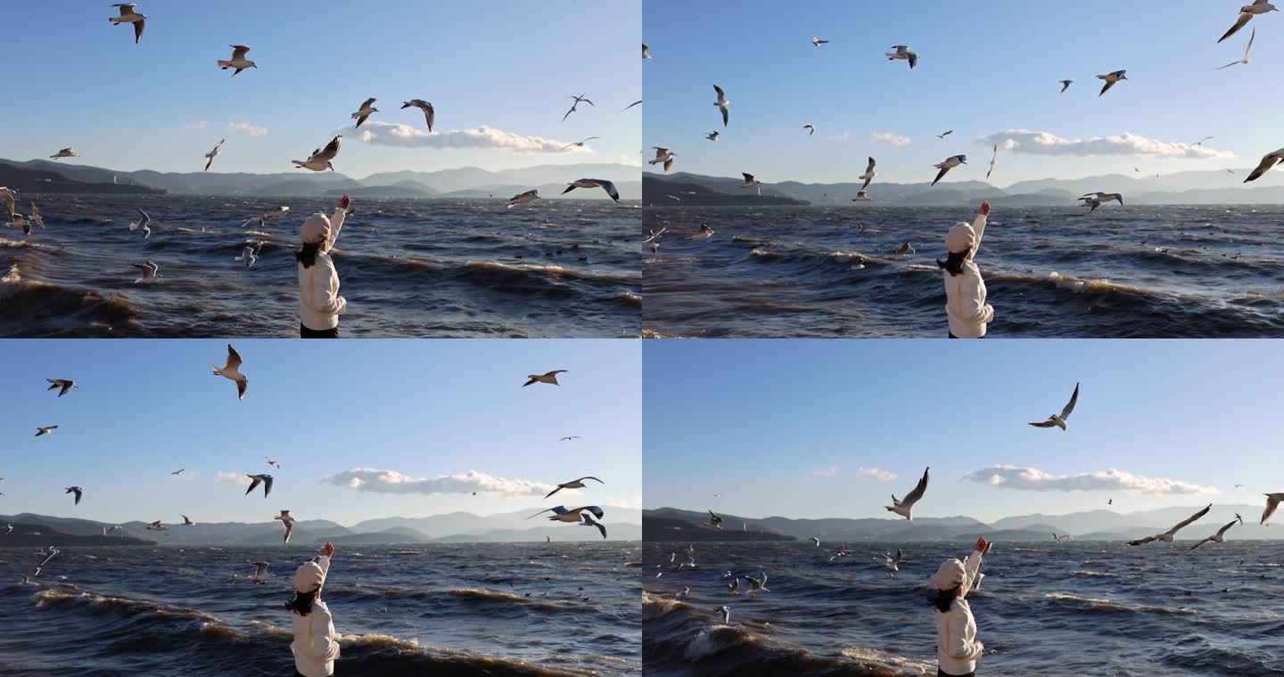 （慢镜头）大理洱海日出美女喂海鸥唯美