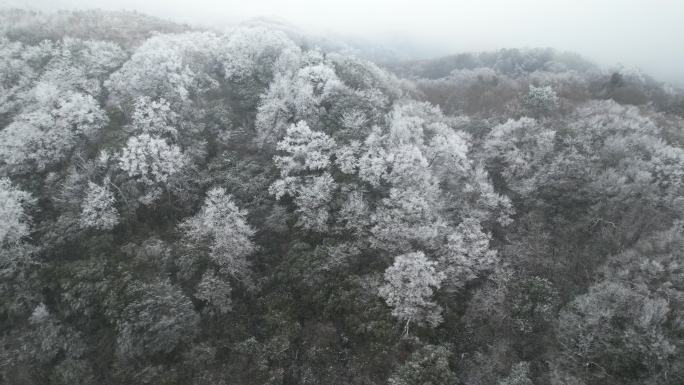 2023年12月，贵州台江雪