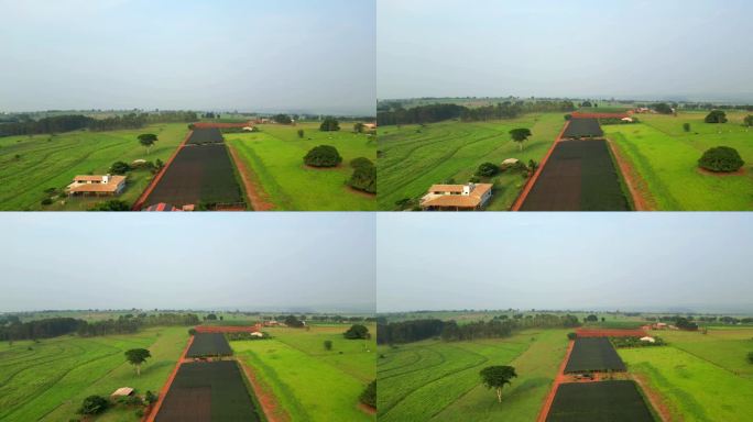 无人机拍摄的覆盖着防鸟网的葡萄园鸟瞰图。巴西