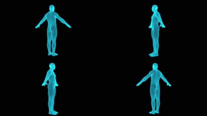 4K全息线框男性人体动画
