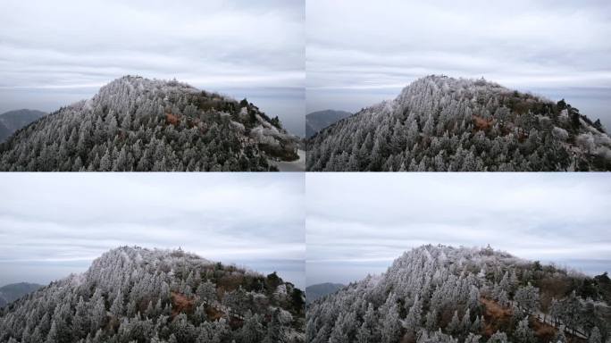 湖南南岳衡山松树凇雪景祝融峰