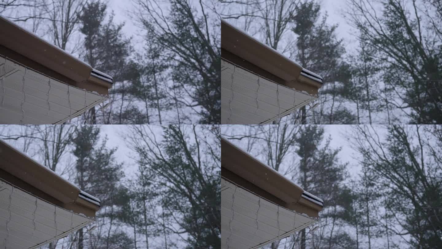 慢镜头缓缓落下，看着雪花飘落。