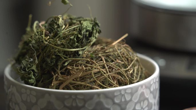 喀拉拉邦苦瓜植物叶子的特写镜头，喀拉拉邦挂在藤蔓上，用来制作有益减肥的草药健康茶