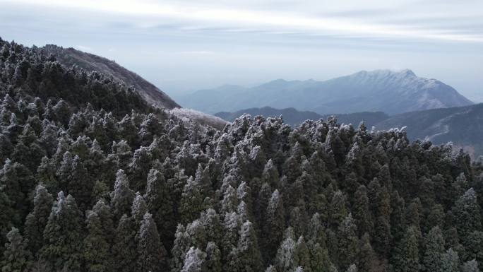 湖南南岳衡山松树凇雪景祝融峰