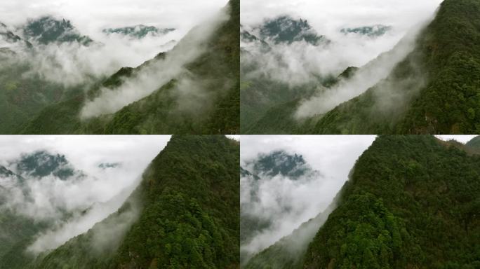 雨后山间云雾
