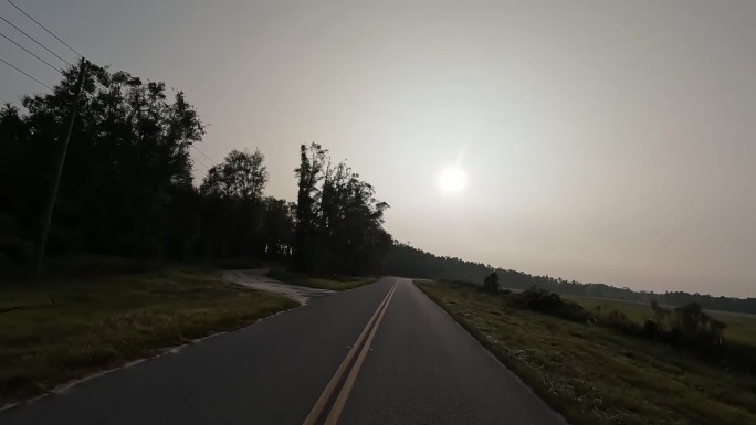 黎明时分，在森林覆盖的农业区，司机沿着弯曲空旷的乡村公路行驶