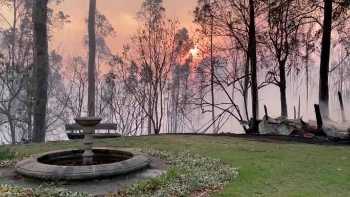 一个水槽坐落在高大的树前。后面，由于一场野火烧毁了几棵树和一座由木头、锡、锌和瓦片组成的小房子，烟雾