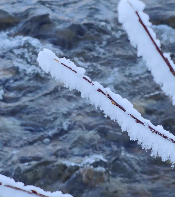 ⚝4K竖屏⚝冬景合集原始素材春天开化冰水