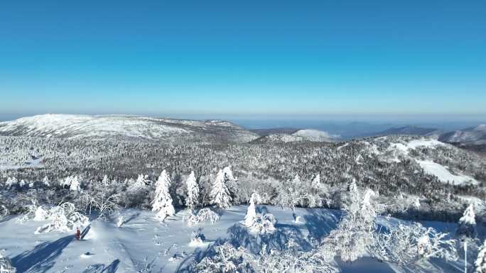 雪景