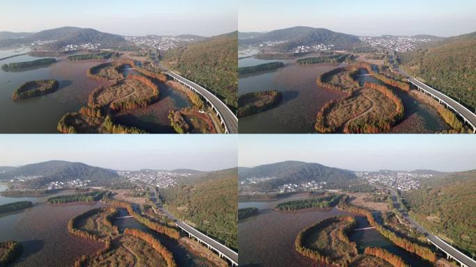 苏州市西岛和太湖的高角度景观。美丽的村庄和多彩的森林在阳光明媚的秋天下午，4k实时镜头，无人机视图。