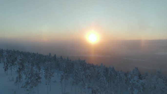 在拉普兰的冬天，鸟瞰白雪覆盖的树木，朦胧的，光环日出的背景