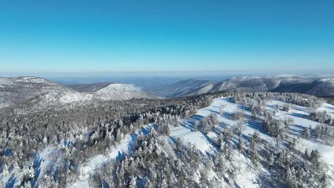 雪景