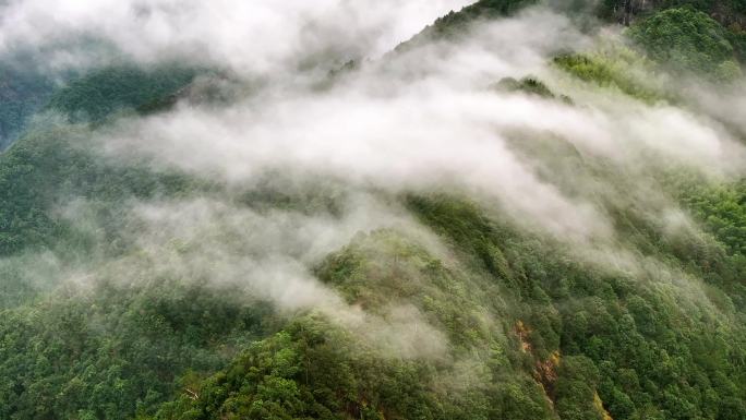 雨后山间云雾