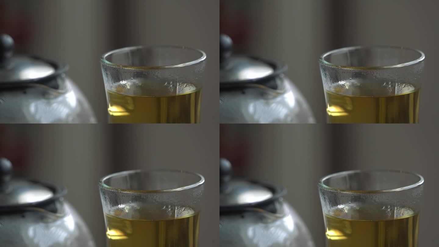 喀拉拉邦苦瓜植物的玻璃特写，喀拉拉邦苦瓜植物挂在葡萄藤上，用来制作有利于减肥的草药健康茶