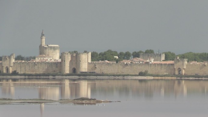 埃格-莫特斯城的塔楼和城墙