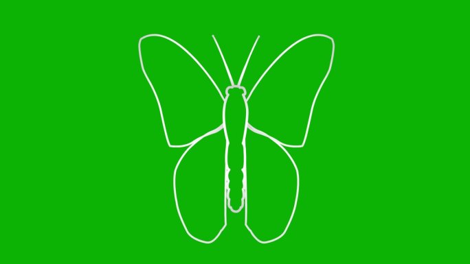动画银蝴蝶扇动翅膀。线性符号。毛圈的视频。矢量插图隔离在绿色背景上。