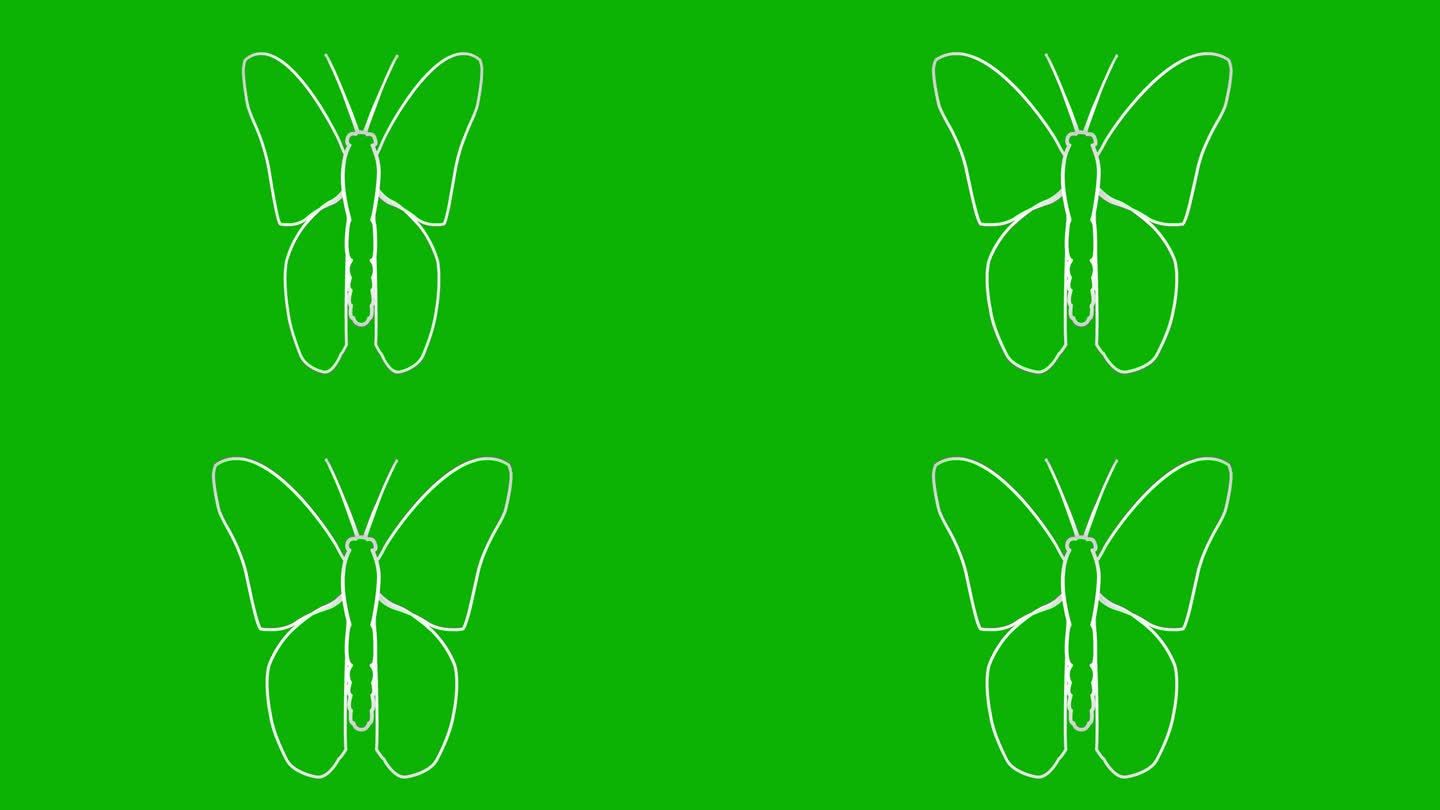 动画银蝴蝶扇动翅膀。线性符号。毛圈的视频。矢量插图隔离在绿色背景上。