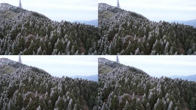 湖南南岳衡山松树凇雪景航拍