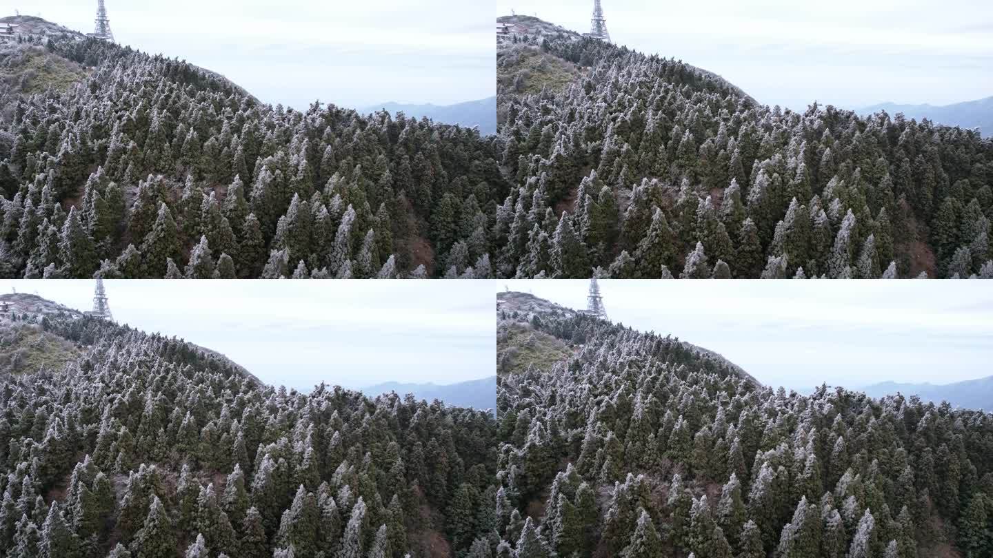 湖南南岳衡山松树凇雪景航拍