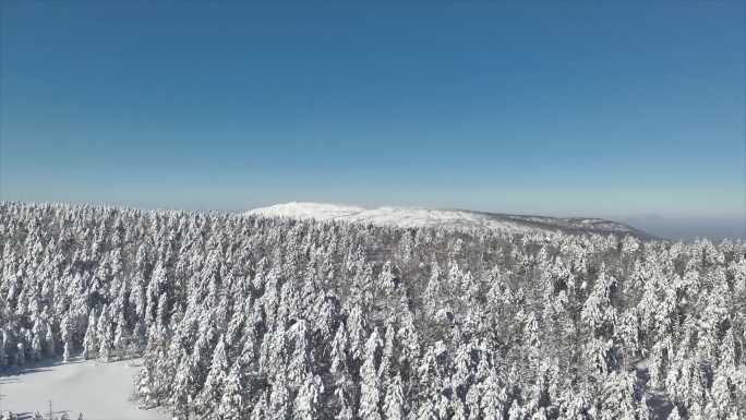 雪景