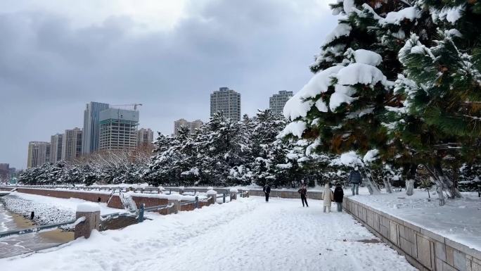 浪漫的雪景 唯美的雪花 雪花飞舞  05