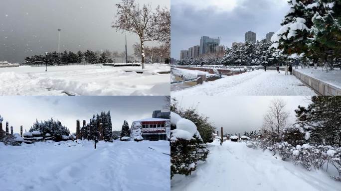 浪漫的雪景 唯美的雪花 雪花飞舞  05