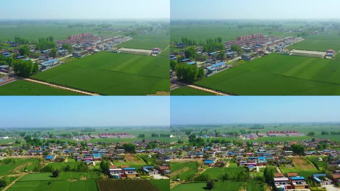农村村庄和麦地航拍大景