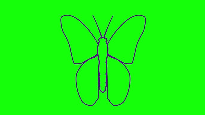 动画紫色蝴蝶扇动翅膀。线性符号。毛圈的视频。矢量插图隔离在绿色背景上。